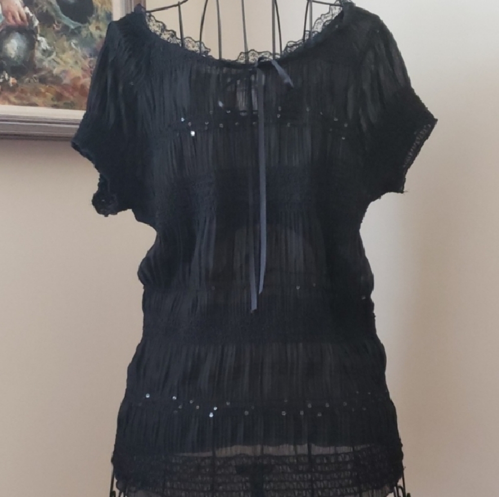 Superline Sheer Blouse